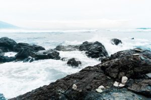 laut pasang